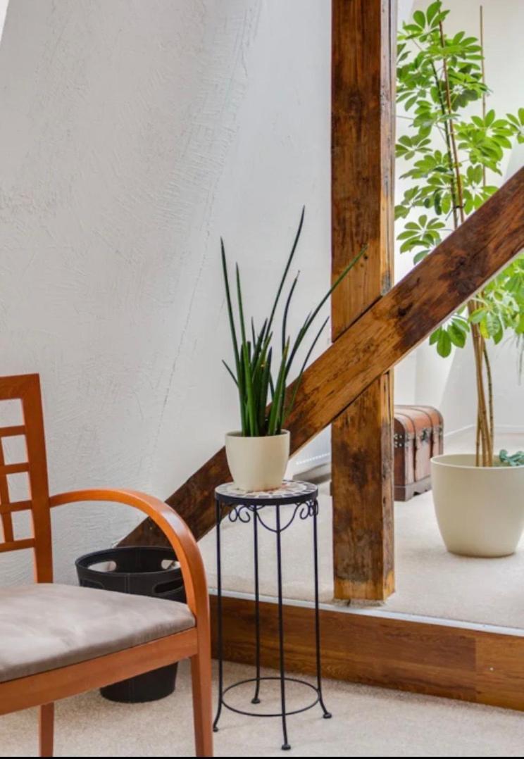 Lenka'S Cozy Red Studio + Lenka'S Cozy Gold Apartment Prague Exterior photo